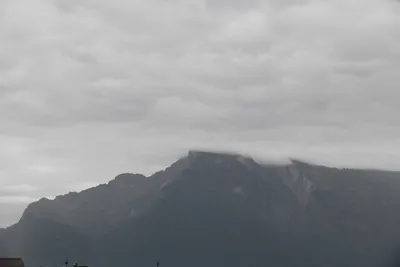 DSC_6092 (Large).JPG